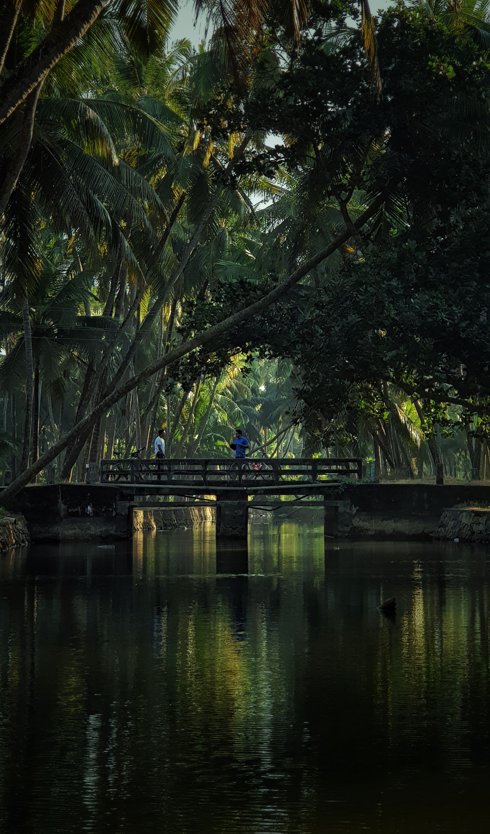 Our retreat beside the backwaters