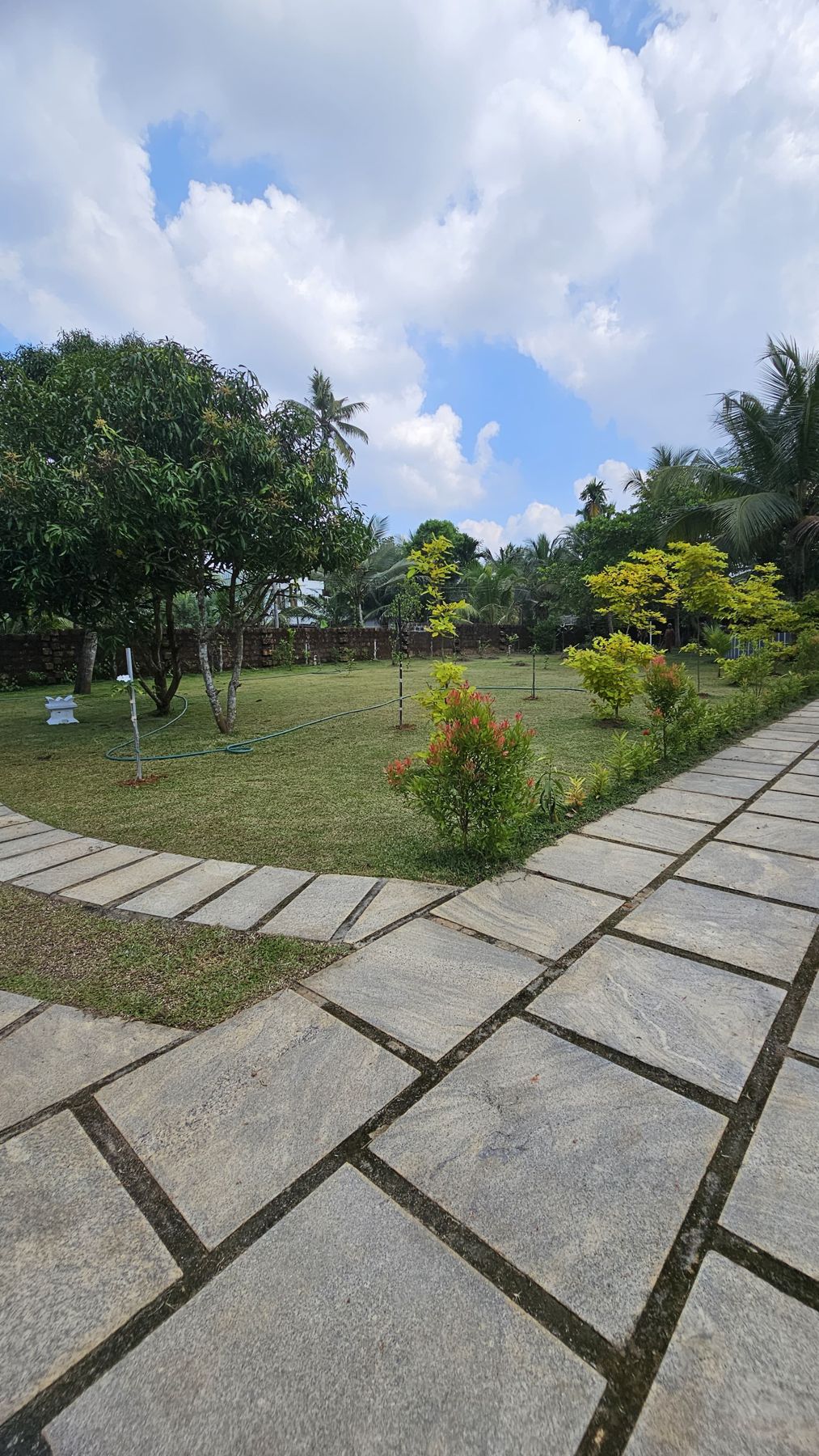 Garden path with flowering shrubs