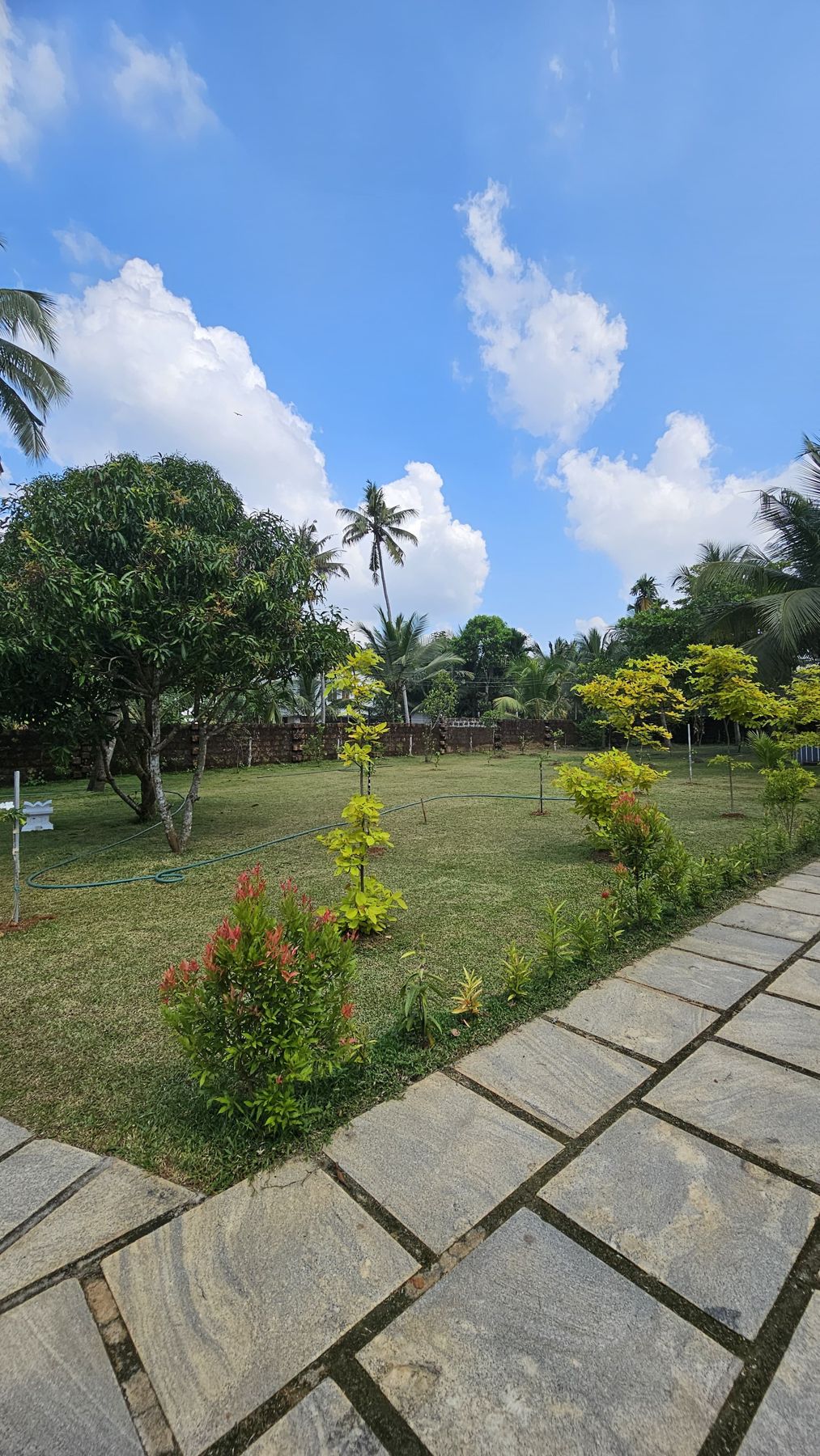 Stone path crossing the green lawn