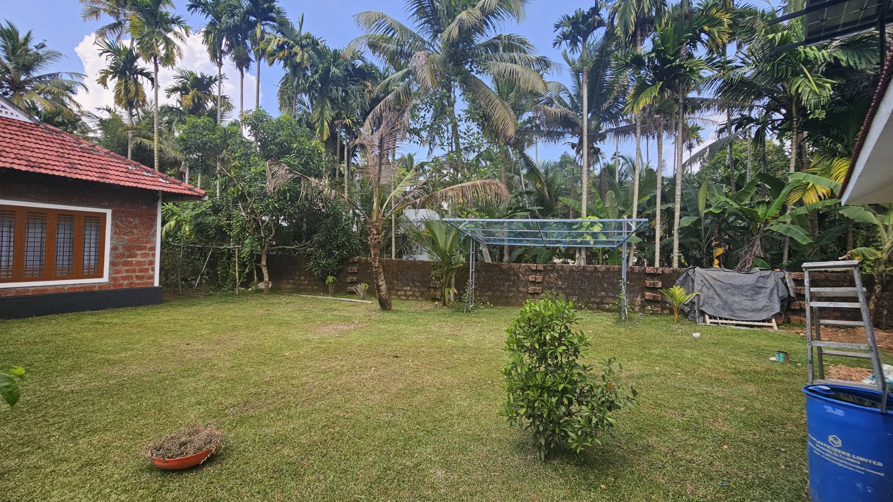 Wide lawn surrounded by palms